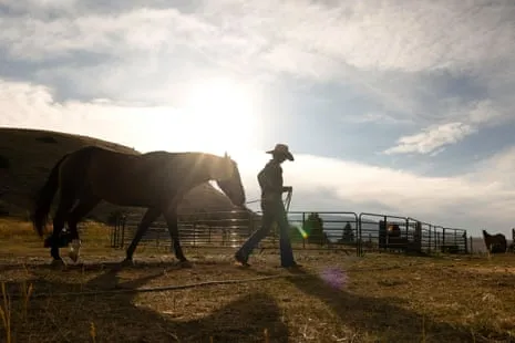 Get to Know the US Women Ranchers Reshaping Modern Ranch Life