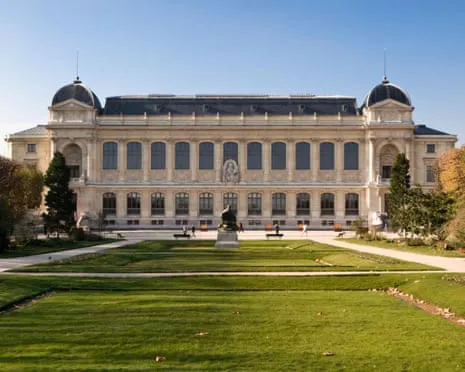 Invaluable Gold Pieces Stolen in Daring Raid at French National Institution